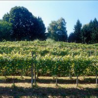 Cascina Piano Estate